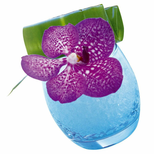 V12H87AA5DC904C22E876C5F8D323746DC72R5339048P2