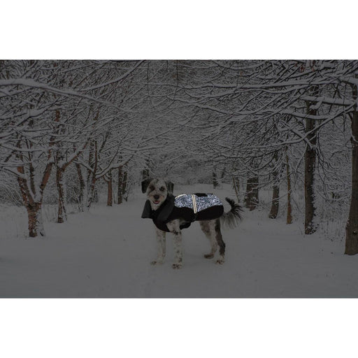 V6H044AB8468EDD123EC9DA778950FAA79DR5332392P2