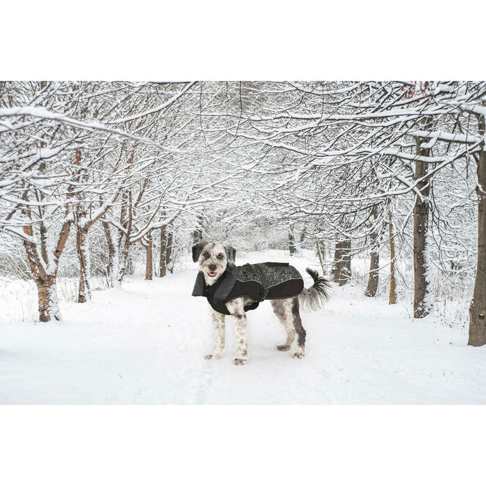 V6H695B6C245F97811A4044EC1B4782D38CR5332539P8