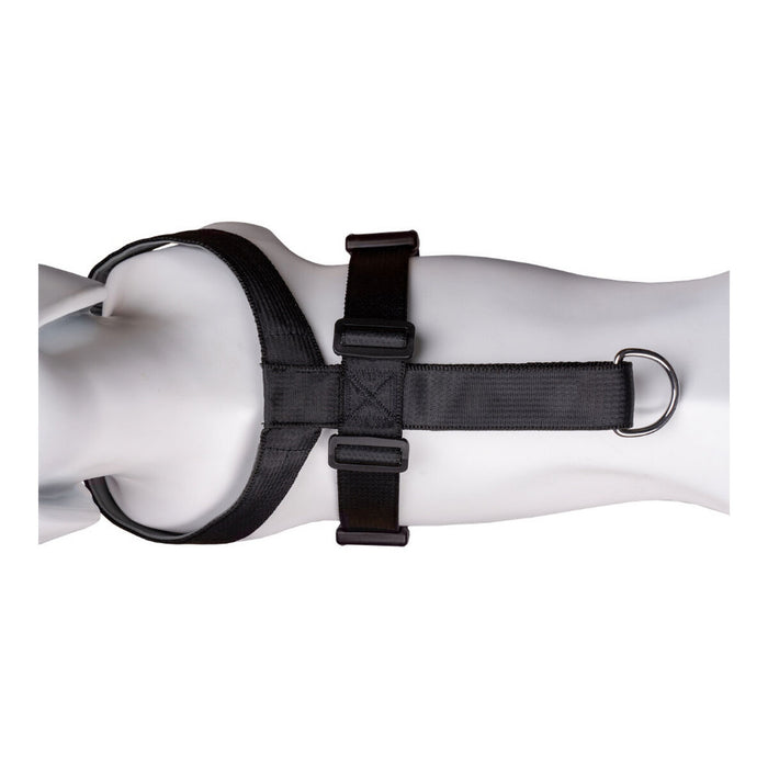 V11HC8AC0DC884B6411CDCAC2AB7BD5F8678R2354174P7