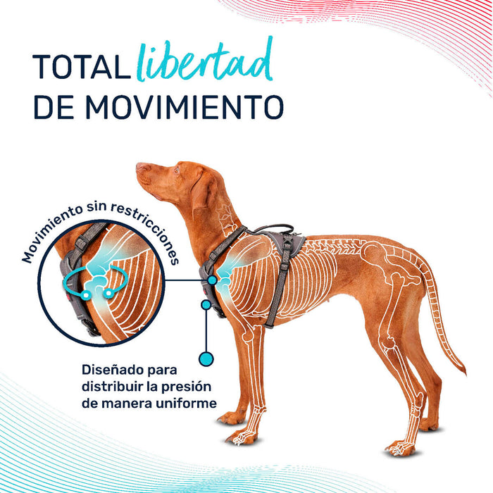 V6H8A088F8E7C13599648FCA158643AA1C2R5328513P6