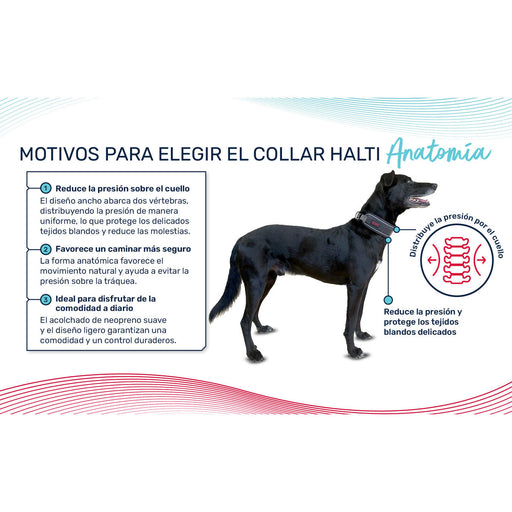 V2HACDD05279D0F51C8DD7F46F936429AFCR7722871P1