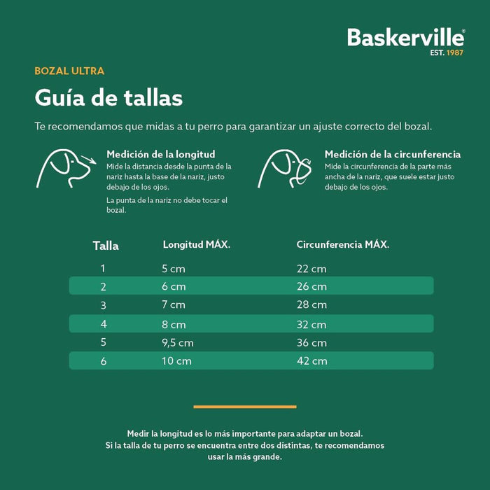 V5HCD970E5ACD00B071D041D03D70F470CDR5327552P5