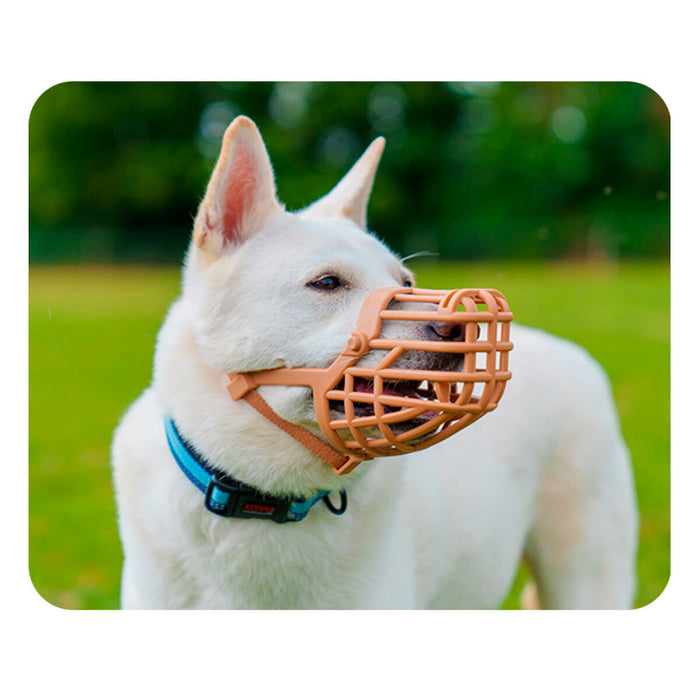 V6H1CAE426BC423AD88378E5DA7D4C99615R5327590P3