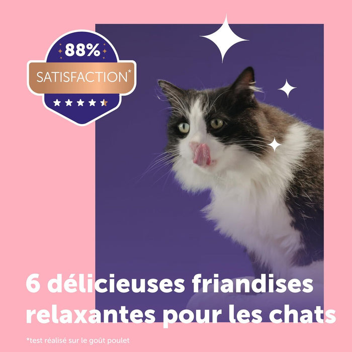 V2H3EE564239EBBC15699808559E04CAFAAR7725808P2