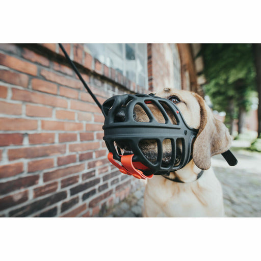 V9HF4DAE80AE776107B1655C2C37066B816R5597929P2