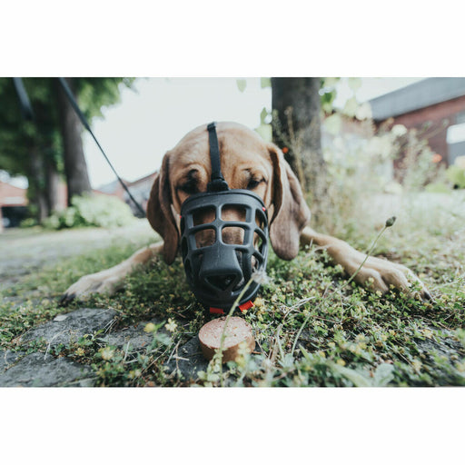 V9H771AF0D33BF194EEA2063116AC0CB767R4389382P2