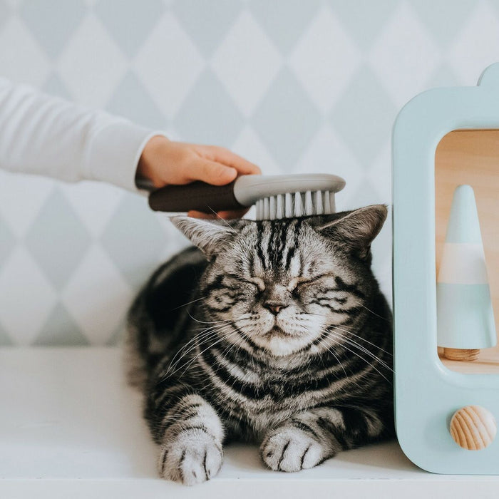 V11H66E6C00C3C3A56D39CEB2481D184AC19R4267965P3