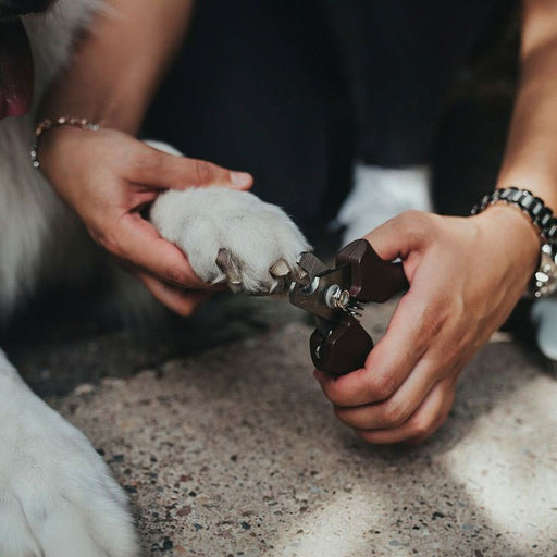 V11H31F5167231D926AFF98114184FE9F3FBR5597728P2