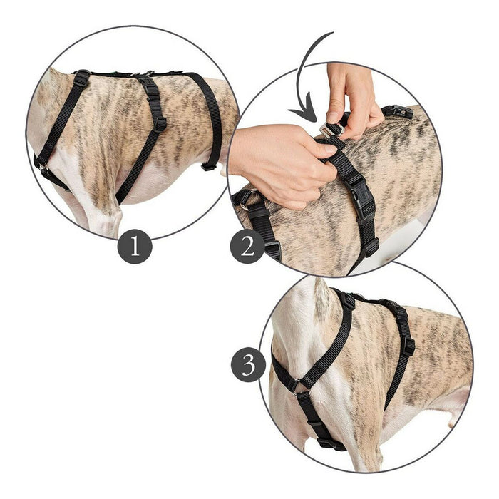 V7HBDCC0755410674496E3BB030B4AF1F2FR4989175P1