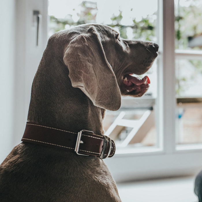 V10H24F628AE1CC76376A9D53A9F92048E2DR1561426P3