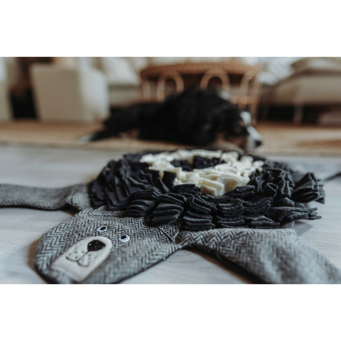 V5H63BC22DCC4AD6DF9652072D692A9DECER5333708P2