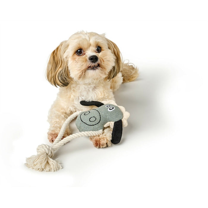 V4H992796FB7372658703E019837B6A2E1CR5574741P5