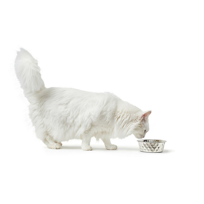 V6H8D9CC8DDCD9EB609EDF26BF545572A4DR4438158P4