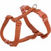 V7H3A4DCABA65E1409522E5AE7953E05255R7459103P2