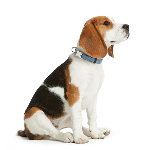 V5HA5A70F827744B2F58FCF1522FEDBF232R5582610P2