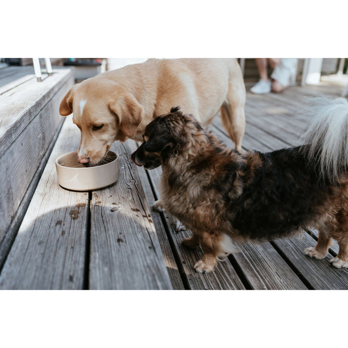 V6H15CA4A8184B12474465F927593094766R6456018P4