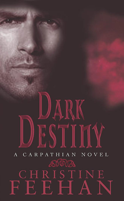 Dark Destiny : Number 13 in series