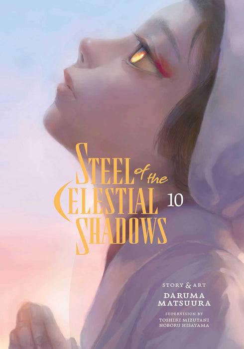 Steel of the Celestial Shadows, Vol. 10 : Volume 10
