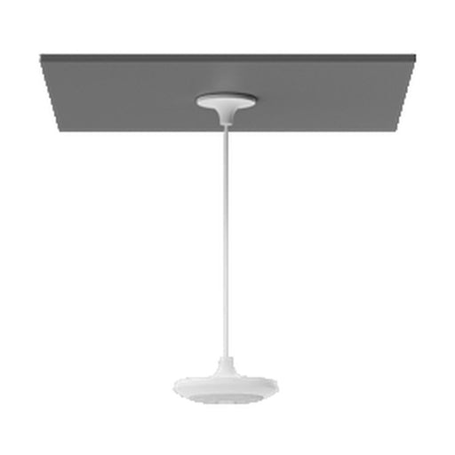 V8H44C5CA1960D157A981C878DE861A5F68R3368581P1