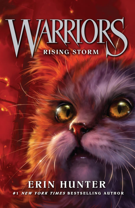 Rising Storm : Book 4