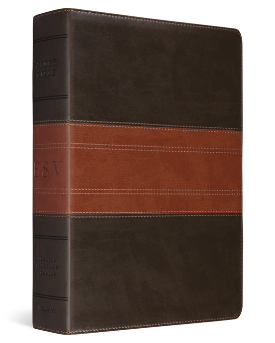 ESV Study Bible, Large Print
