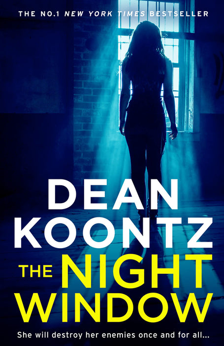 The Night Window : Book 5