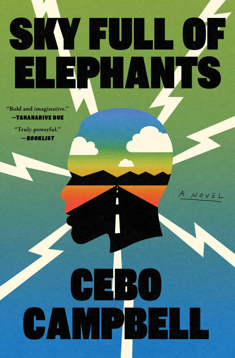 Sky Full of Elephants : A Novel