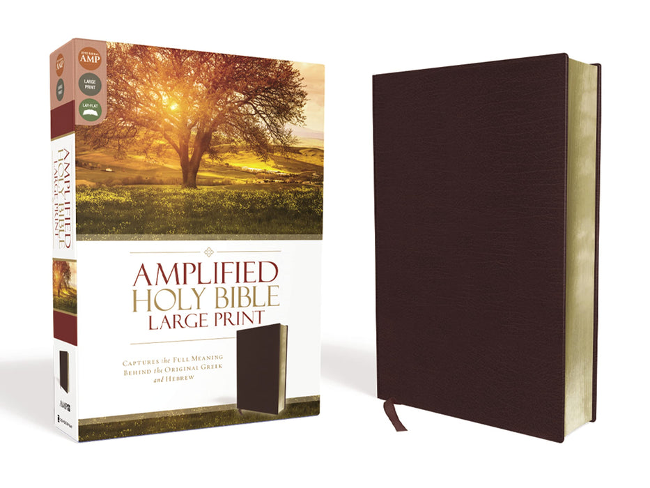 Amplified Holy Bible, Large Print, Bonded Leather, Burgundy : Captures the Full Meaning Behind the Original Greek and Hebrew