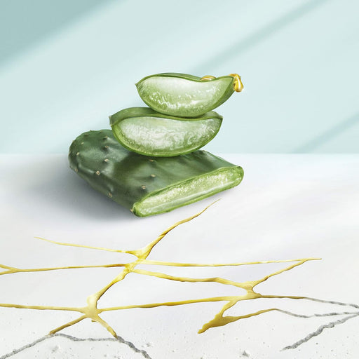 V8HEAAD25BC8D848DBFC018CCFBE84140E3R3757084P2