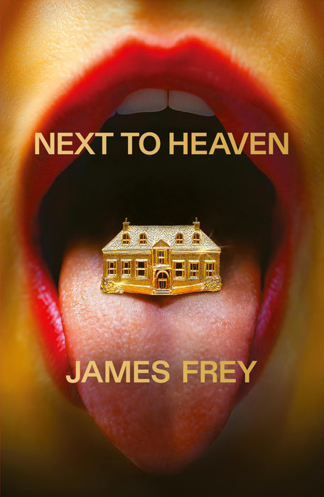 Next to Heaven : The PROVOCATIVE new novel from BESTSELLING author of A Million Little Pieces