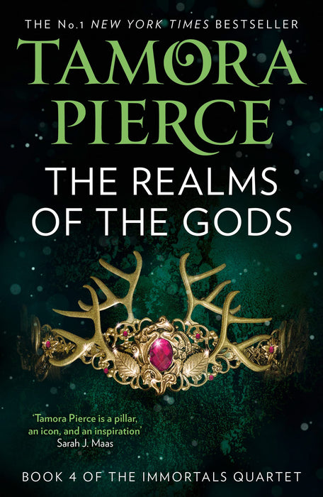 The Realms of the Gods : Book 4