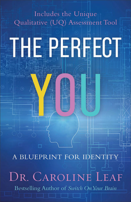 The Perfect You – A Blueprint for Identity