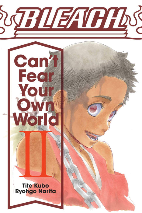 Bleach: Can't Fear Your Own World, Vol. 2 : Volume 2