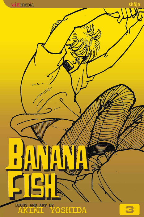 Banana Fish, Vol. 3 : Volume 3