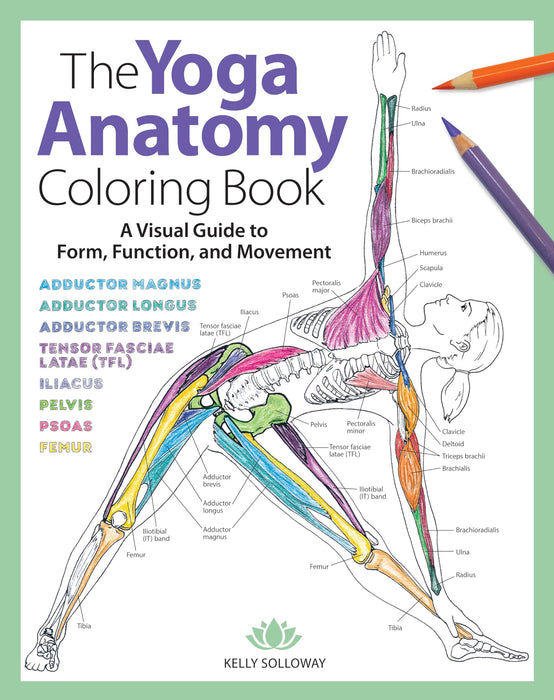 Yoga Anatomy Coloring Book, The : A Visual Guide to Form, Function, and Movement - An Educational Anatomy Coloring Book for Medical Students, Yoga Teachers, & Adults (Volume 1)