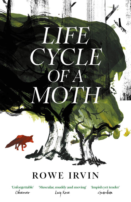 Life Cycle of a Moth
