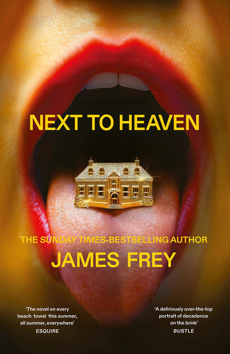 Next to Heaven : The PROVOCATIVE new novel from BESTSELLING author of A Million Little Pieces