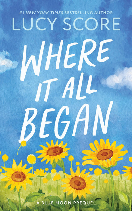 Where It All Began : A Small Town Grumpy Sunshine Romance (Blue Moon Book 7)