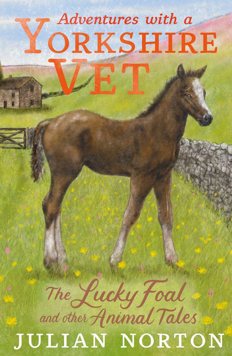 Adventures with a Yorkshire Vet: The Lucky Foal and Other Animal Tales : The perfect Christmas present for readers age 8+ who love animals great and small