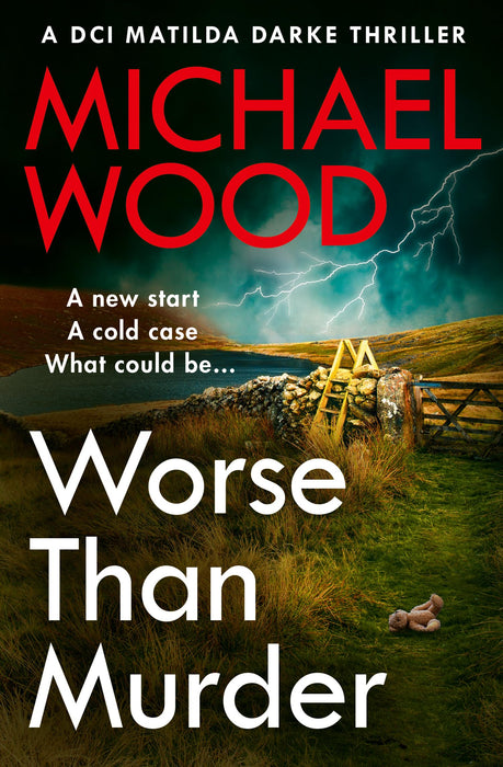 Worse Than Murder : Book 13