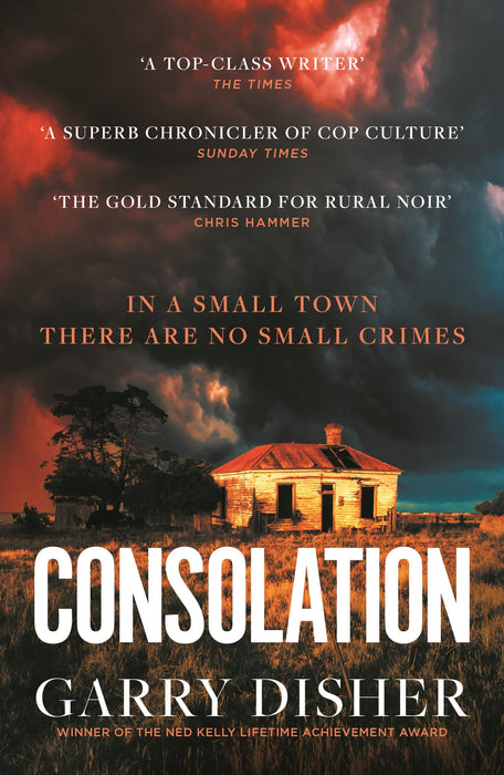 Consolation : Constable Hirsch Mysteries 3