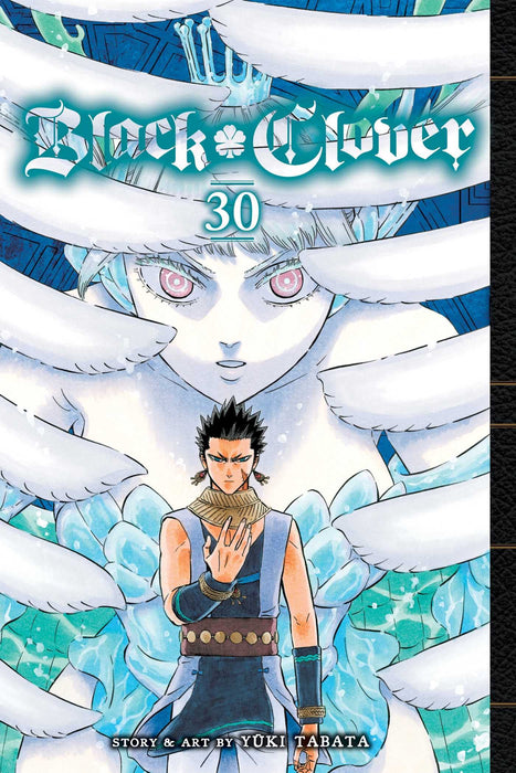 Black Clover, Vol. 30 : Glad Tidings Volume 30