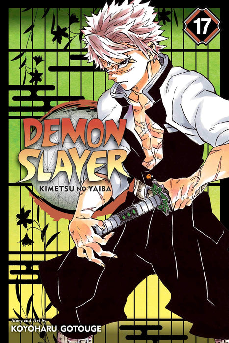 Demon Slayer: Kimetsu no Yaiba, Vol. 17 : Successors Volume 17