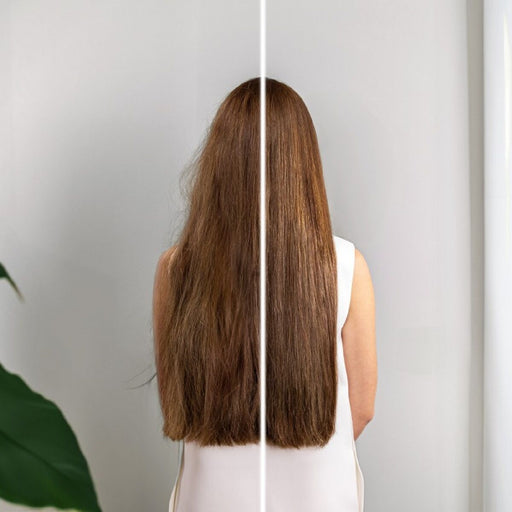 V6H53772BD2B32B88E4802346809B7E4B39R5294097P2