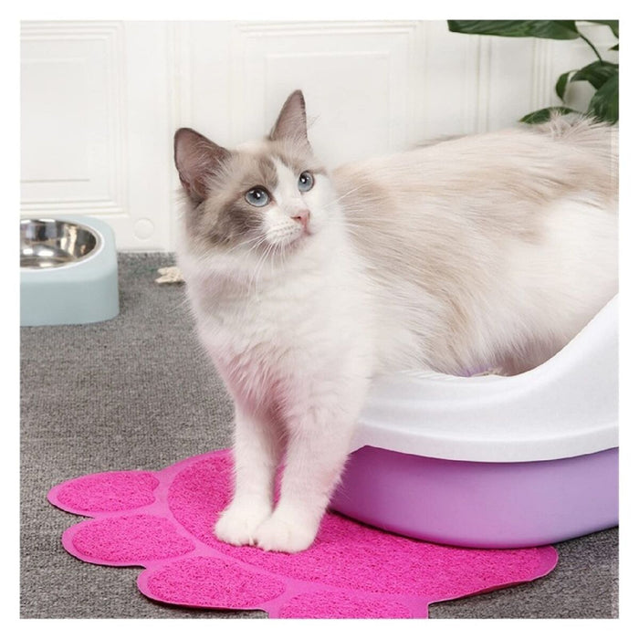 V5HC44F0925C6C25E08A9E2EBCF469387C3R5175474P3