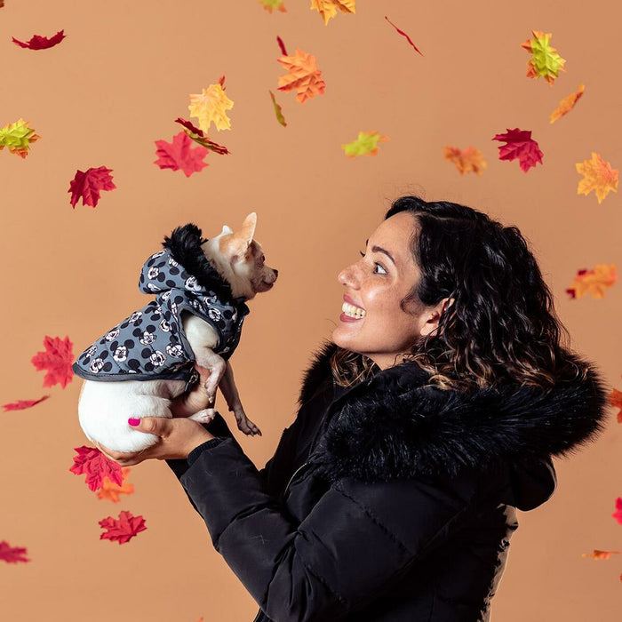 V13H26E0504CFF3281BC922734BDE19B0524R6604557P6