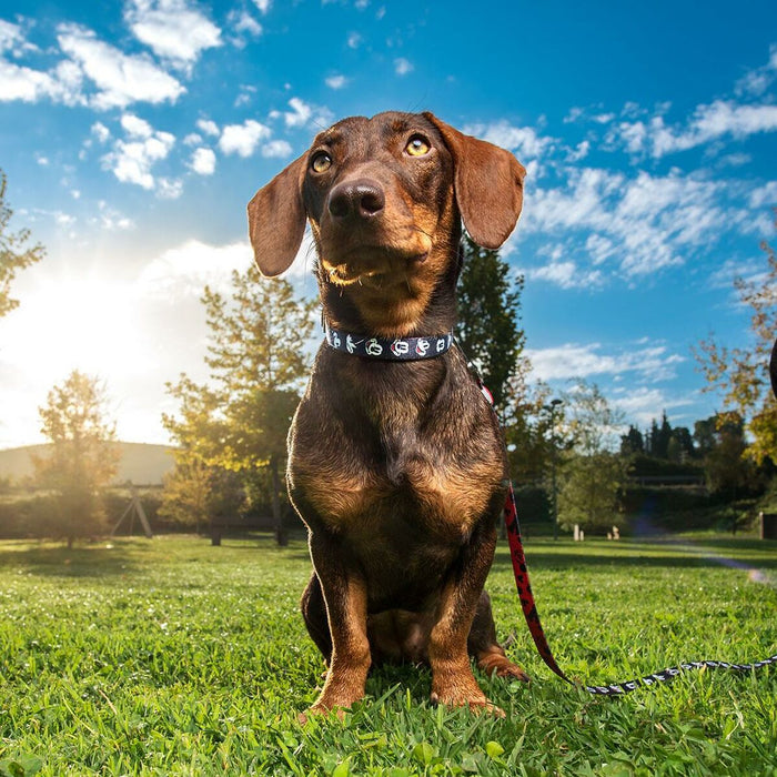 V5HBCC453C7B104ECF0765FB3886416A89AR4655456P7