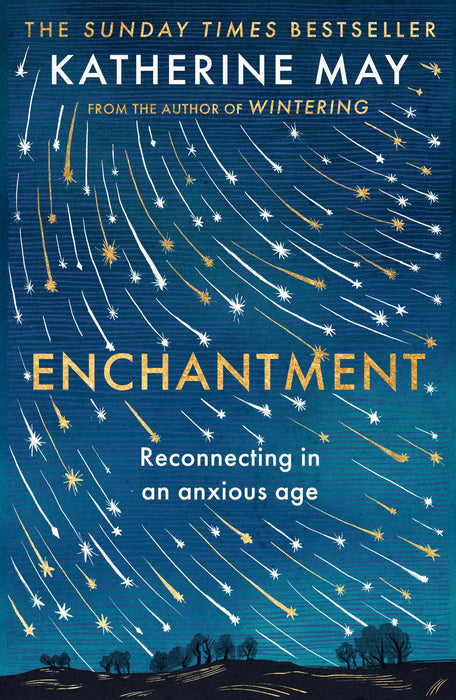 Enchantment : Reconnecting in an Anxious Age