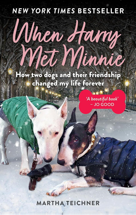 When Harry Met Minnie : An unexpected friendship and the gift of love beyond loss